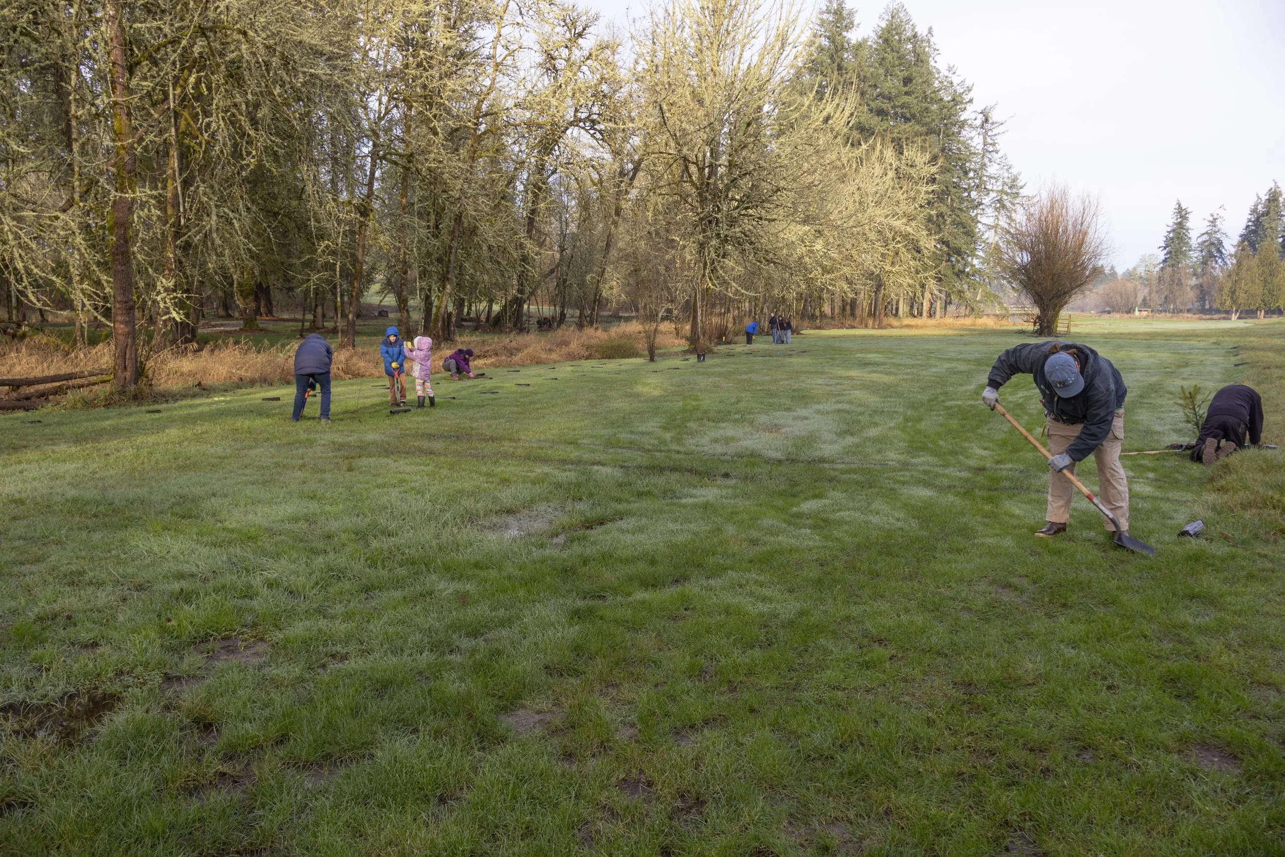 Habitat Restoration — Clark Conservation District